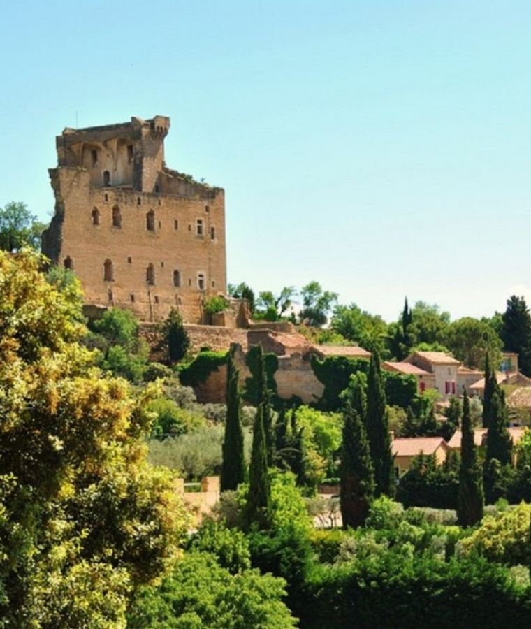 La Mirande Chateauneuf Du Pape Wine Tour Lavender Fields Provence